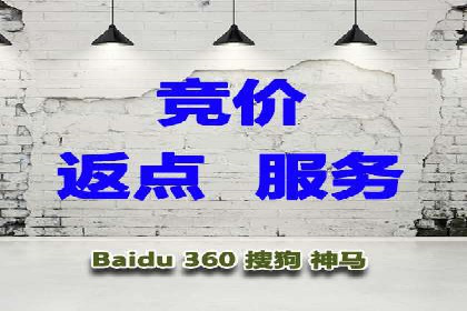 案例分享：SEM推广助力电商快速崛起